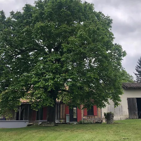 Le Marronnier Villeréal