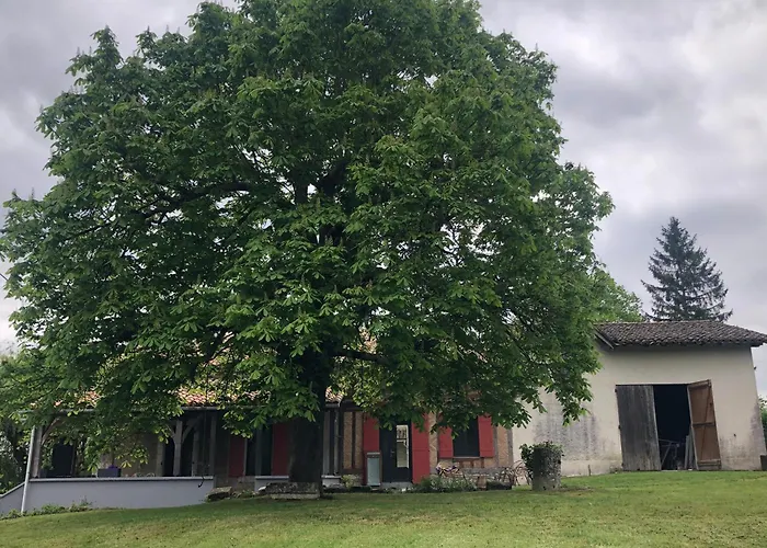 Le Marronnier Villeréal