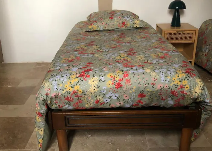 Le Marronnier Hébergement de vacances *